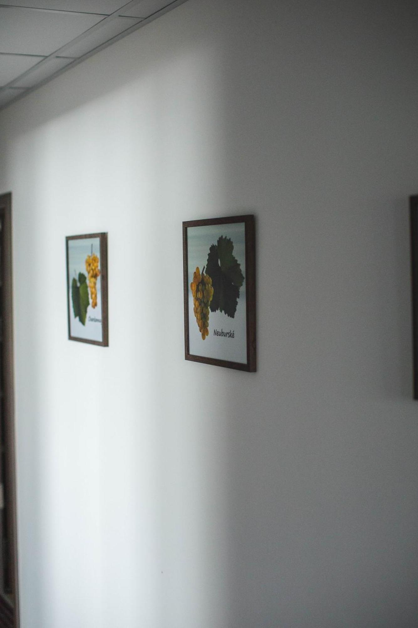 Apartmany Pemag Мікулов Екстер'єр фото